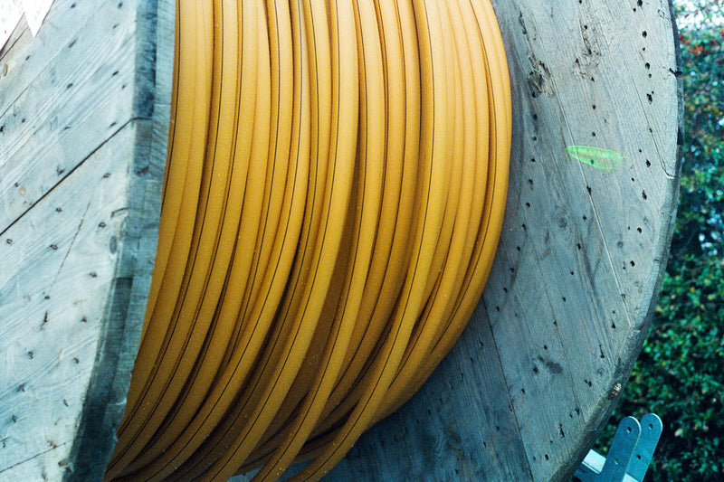 CANDIDO 800 COLOR 135/36 1-PAK