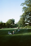 ILFORD ILFOCOLOR 135/24 1-PAK