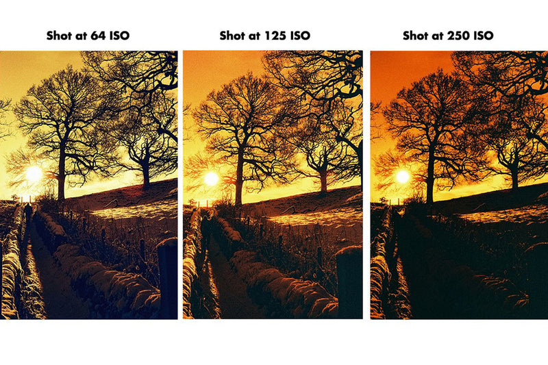 HARMAN REDSCALE 125 135/36 1-PAK