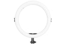 AFI R08 LED RING LIGHT
