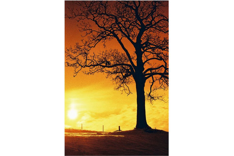 HARMAN REDSCALE 125 135/36 1-PAK