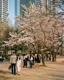 CANDIDO 400 COLOR 135/36 1-PAK