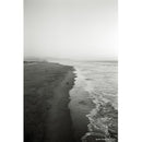 CINESTILL BWXX 250 135/36 1-PAK